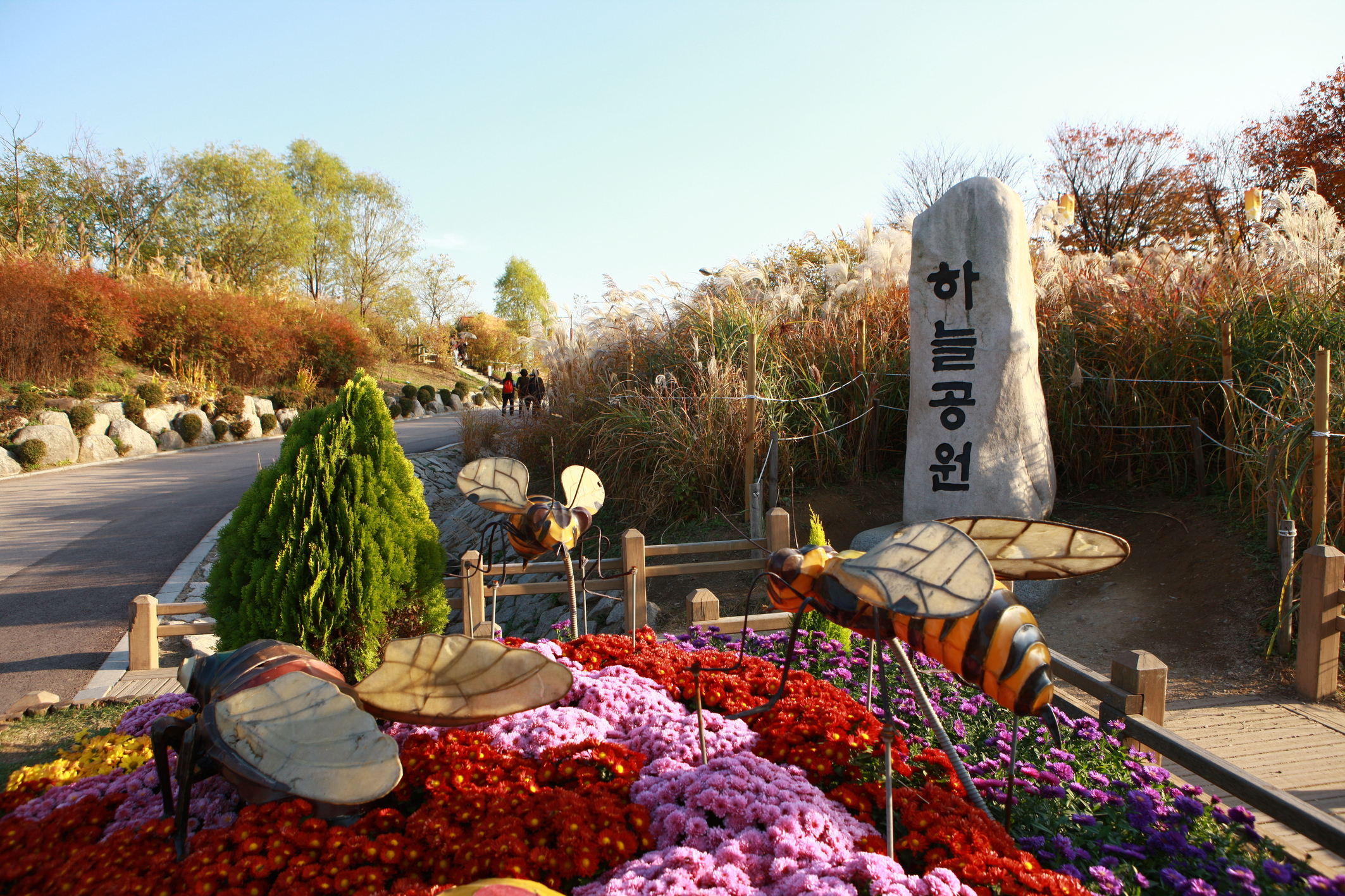 Haneul Park 