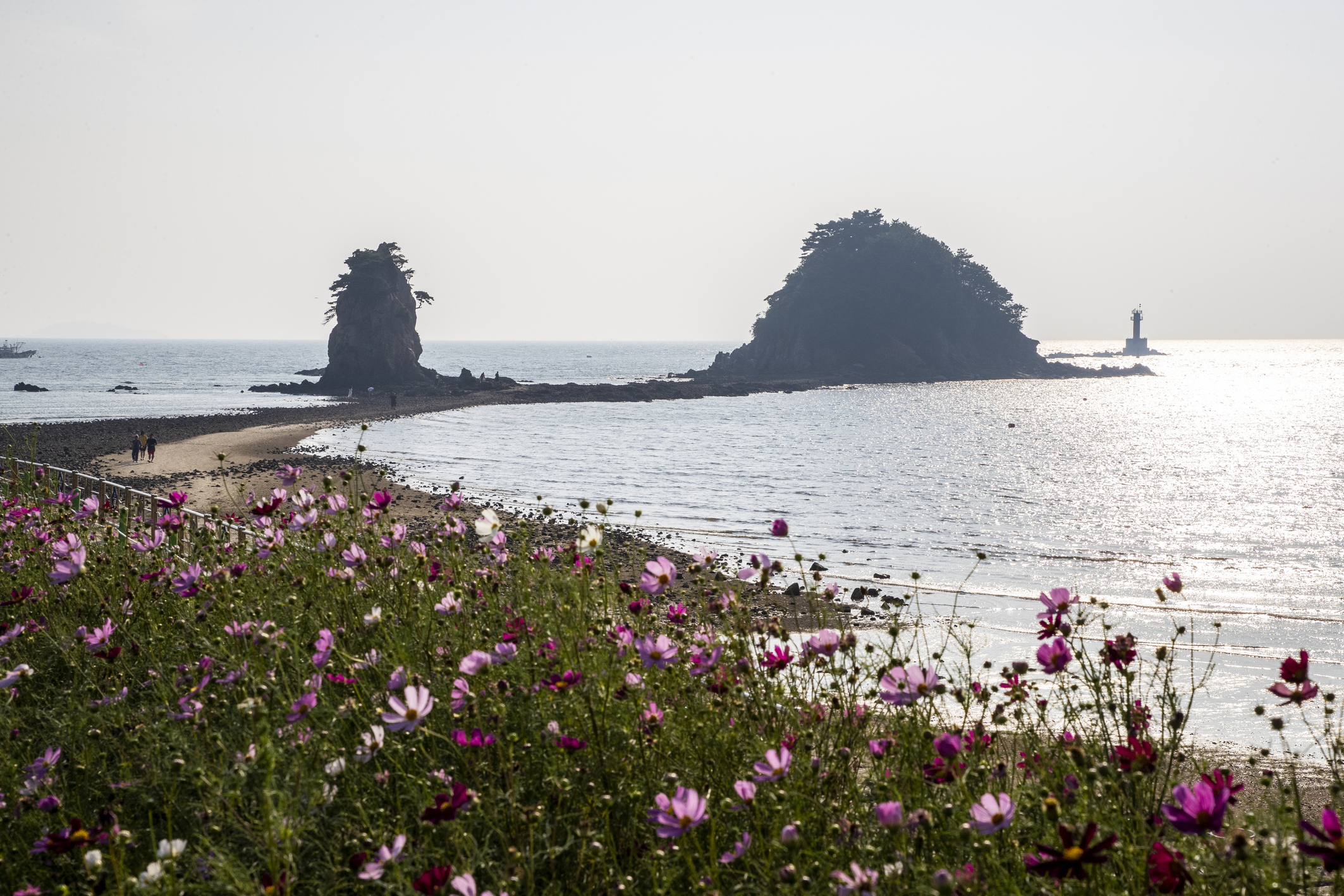 Insel Anmyeondo bei Taean