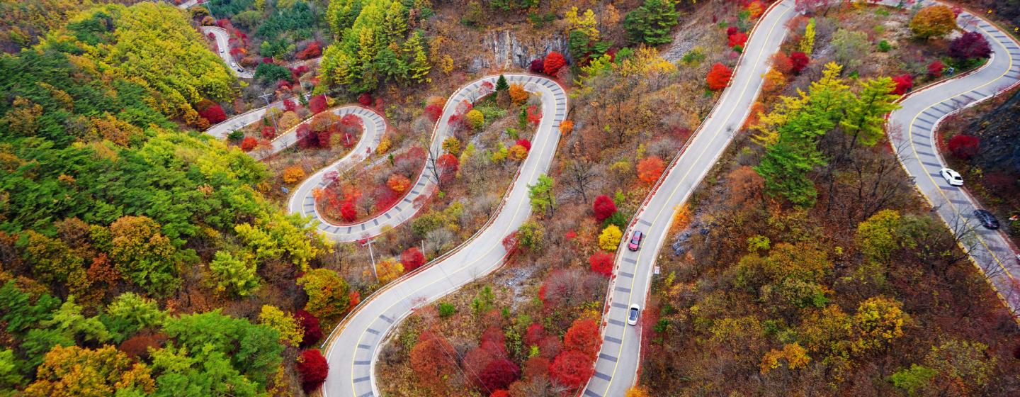 Danyang_Winding through Fall Foliage