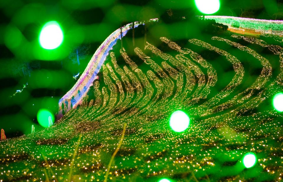 Boseong Tea Farm Light Festival