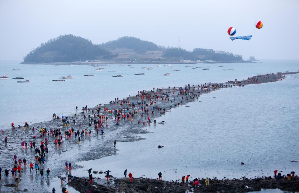 Jindo Miracle Sea Festival
