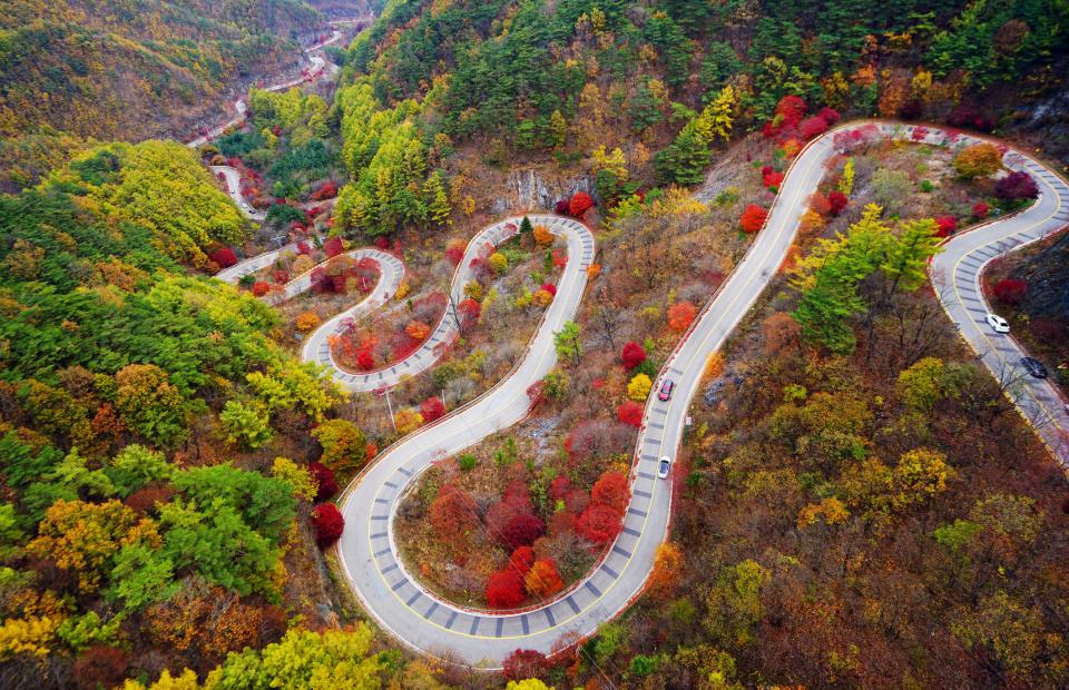 Danyang_Winding through Fall Foliage