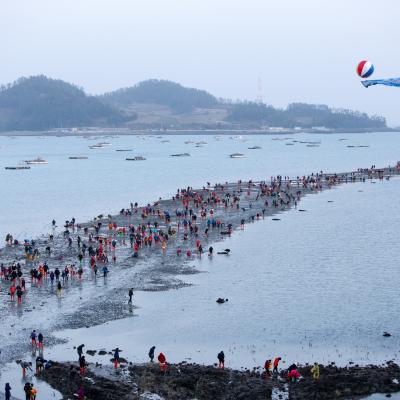 Jindo Miracle Sea Festival